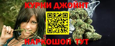 крисы Гагарин