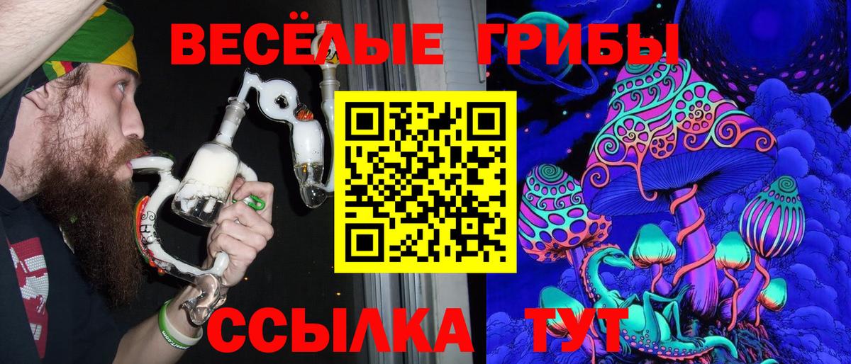 Галлюциногенные грибы Cubensis  Вход с VPN  Псилоцибиновые грибы мицелий  как найти закладки  Керчь 