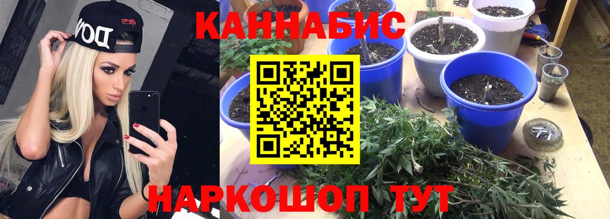 Керчь  Канабис OG Kush  Шишки марихуана ГИДРОПОН  Шишки марихуана MAZAR  Вход с VPN  Каннабис индика 
